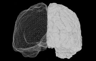 Mesh wireframe of a brain showing left and right hemispheres on a black background.