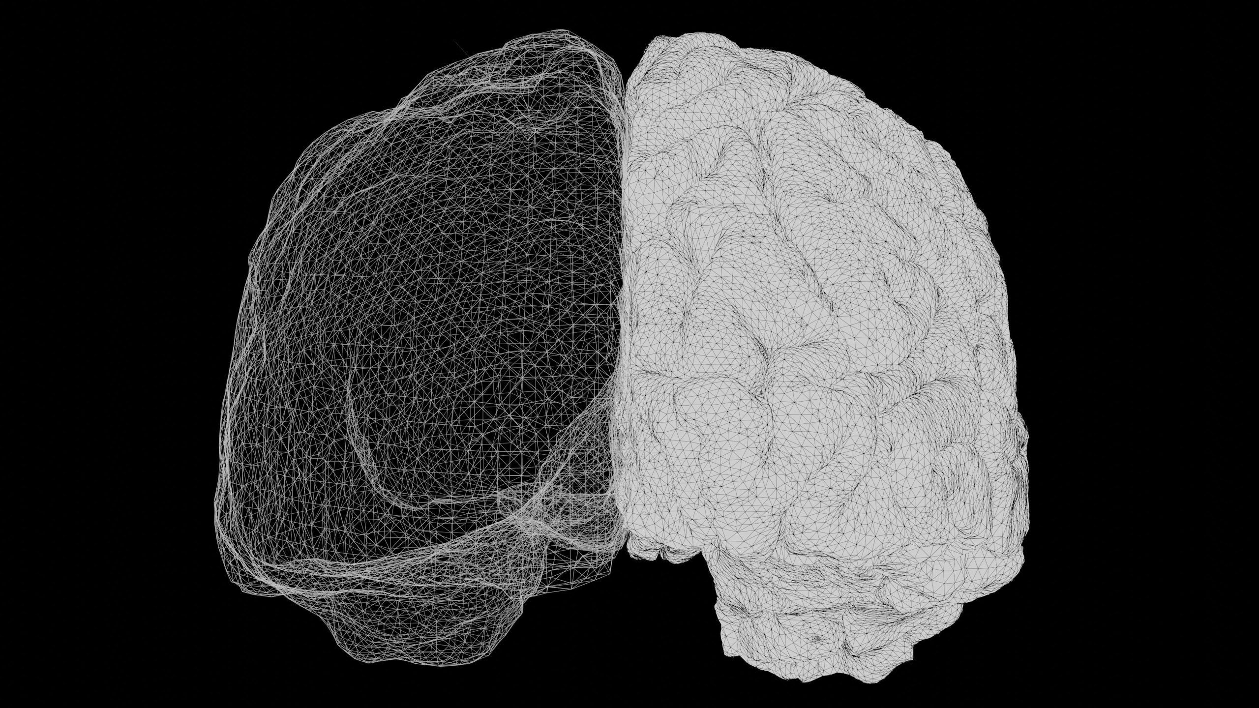 Mesh wireframe of a brain showing left and right hemispheres on a black background.